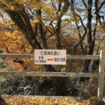 Fukuoka: 2-Day Kysh Onsen & Mt. Aso -Volcano Escape Tour - The Practicalities: What to Know Before Booking