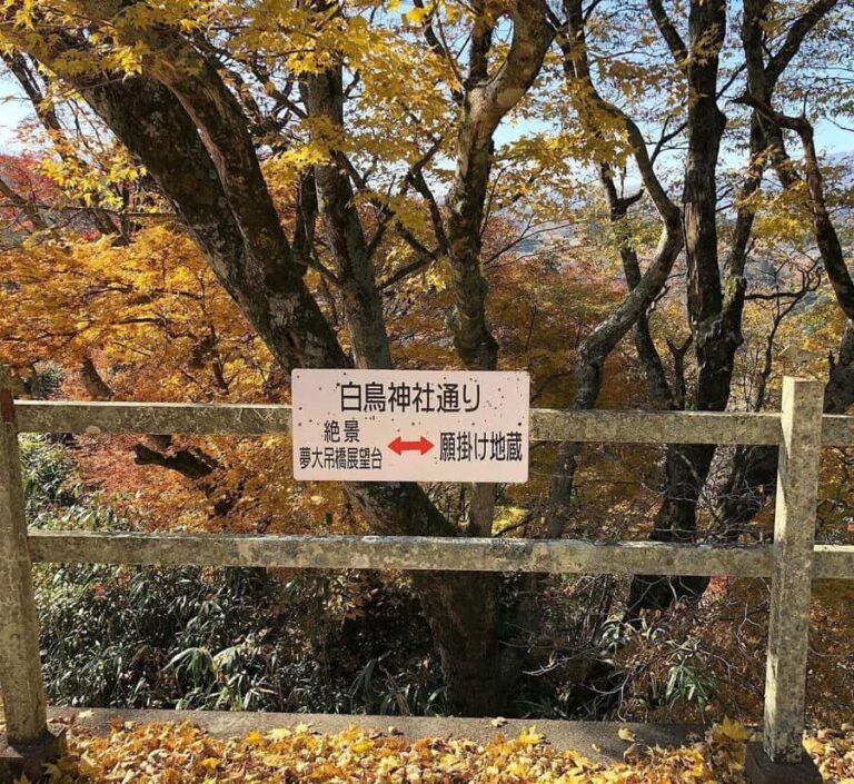 Fukuoka: 2-Day Kysh Onsen & Mt. Aso -Volcano Escape Tour - The Practicalities: What to Know Before Booking