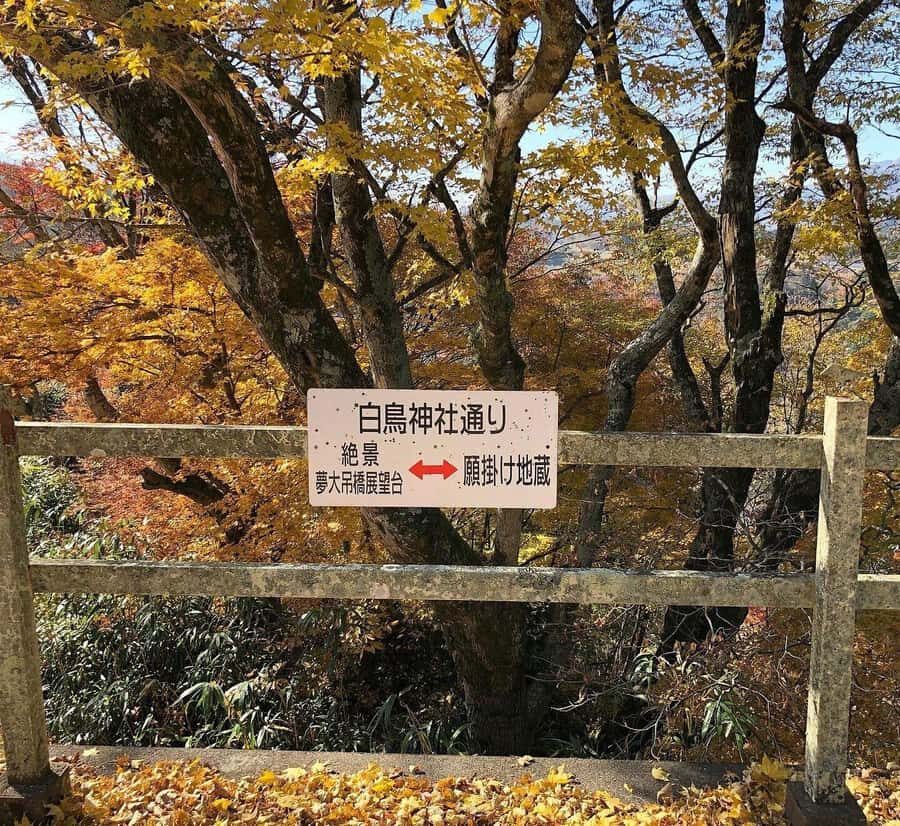 Fukuoka: 2-Day Kysh Onsen & Mt. Aso -Volcano Escape Tour - The Practicalities: What to Know Before Booking