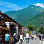 Fukuoka: Beppu Hells HotSpring, Frog Temple & Yufuin DayTrip - The Itinerary Breakdown