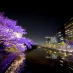 Fukuoka: Dazaifu Shrine, Ohori Park, and Castle Tour - Ohori Park: A Breath of Fresh Air