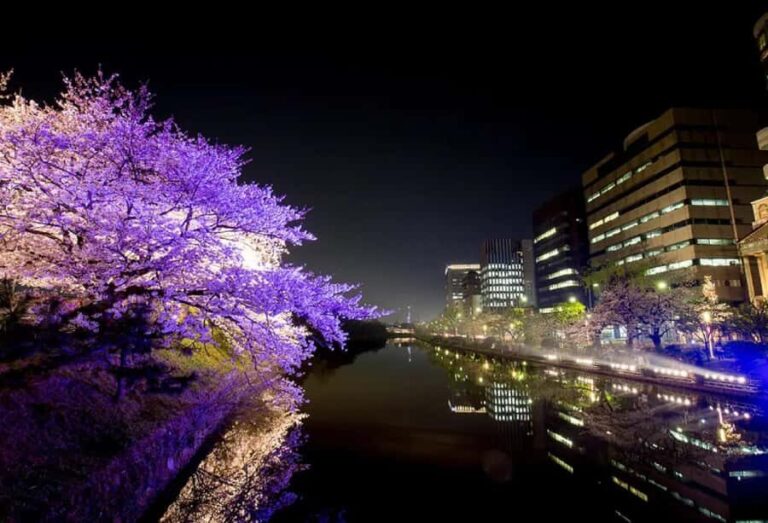 Fukuoka: Dazaifu Shrine, Ohori Park, and Castle Tour - Ohori Park: A Breath of Fresh Air