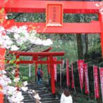 Fukuoka: Dazaifu Tenmangu Shrine & Yatai Food Tour - The Evening: Nakasu Yatai and Local Street Food