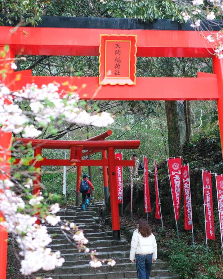 Fukuoka: Dazaifu Tenmangu Shrine & Yatai Food Tour - The Evening: Nakasu Yatai and Local Street Food