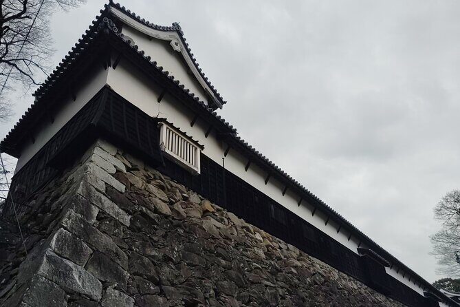 Fukuoka: Fukuoka Castle and Ohori Park Guided Tour - Who Will Love This Tour?