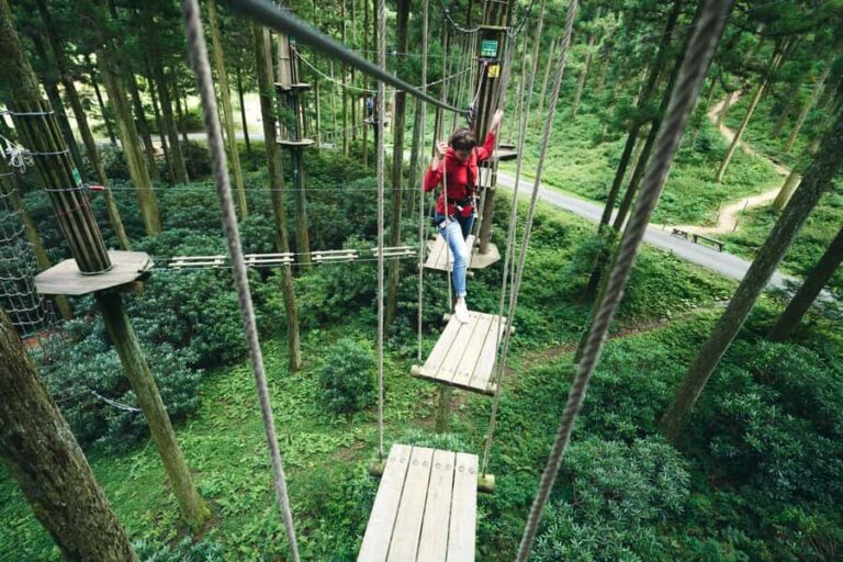 Fukuoka: Guided Walking Tour - In-Depth Look at the Itinerary