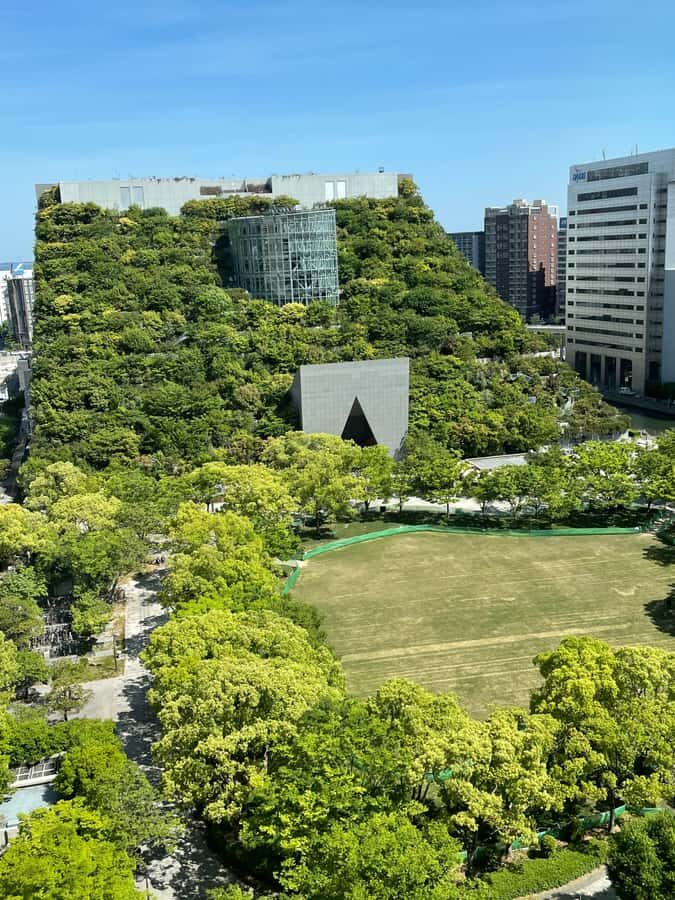 Fukuoka: Historic Architecture and Walking Tour - Traditional Charm and Hidden Photo Spots