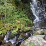 Fukuoka: Itoshima Adventure & Wellness Private Day Trip - Exploring Itoshima: A Closer Look