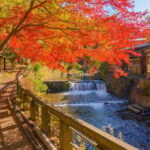 Fukuoka: Mt. Aso Crater & Kusasenri & Kurokawa Onsen Tour - Practical Details and Tips