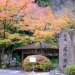 Fukuoka: Mt.Aso, Miyazaki, Takachiho Gorge boat/Beef Lunch Tour - Practical Tips & Considerations