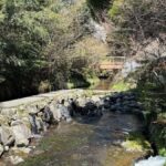 Fukuoka: Mt. Aso Volcano Walk & Kusasenri Horseback Ride - Practical Details and Tips