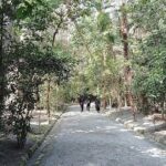Fukuoka: Munakata Taisha Shrine Guided Tour  UNESCO Site - Discovering Munakata Taisha: A Spiritual Gateway