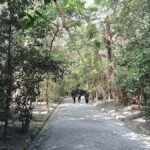 Fukuoka: Munakata Taisha Shrine Guided Tour  UNESCO Site - Exploring the Itinerary: What Makes This Tour Special
