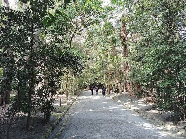 Fukuoka: Munakata Taisha Shrine Guided Tour  UNESCO Site - Exploring the Itinerary: What Makes This Tour Special