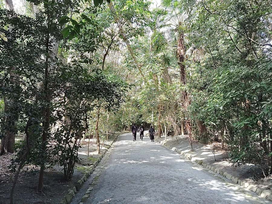 Fukuoka: Munakata Taisha Shrine Guided Tour  UNESCO Site - Exploring the Itinerary: What Makes This Tour Special