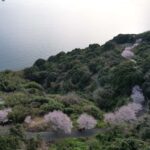 Fukuoka: Nokonoshima Island Guided Walking Tour - Walking from the Ferry to Nokonoshima Island Park