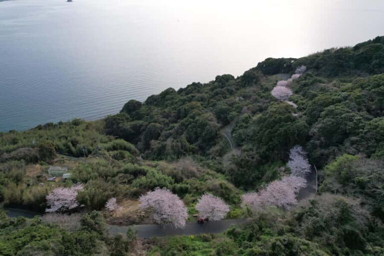 Fukuoka: Nokonoshima Island Guided Walking Tour - Walking from the Ferry to Nokonoshima Island Park