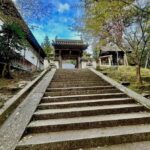 Fukuoka: Nyoirinji Frog Temple & Tea Escape - A Taste of Countryside Life with Tea Tasting