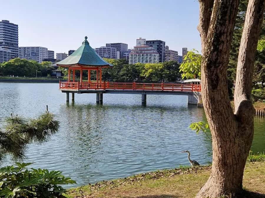 Fukuoka: Ohori Park and Amaguri Onsen Spa Day Tour - Exploring Ohori Park: Calm in the Heart of Fukuoka