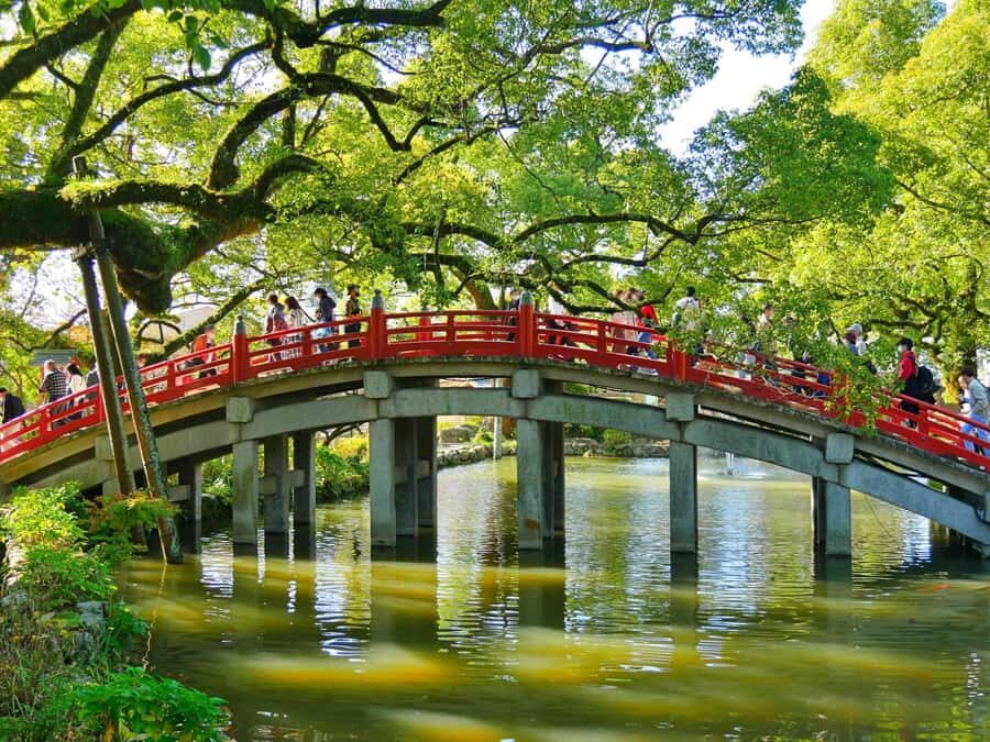 Fukuoka: Seafood Market and Local Flavors Tour with Dazaifu - Who Should Consider This Tour?