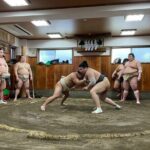 Fukuoka Sumo Morning Practice Watching Tour - Who Would Love This Experience?