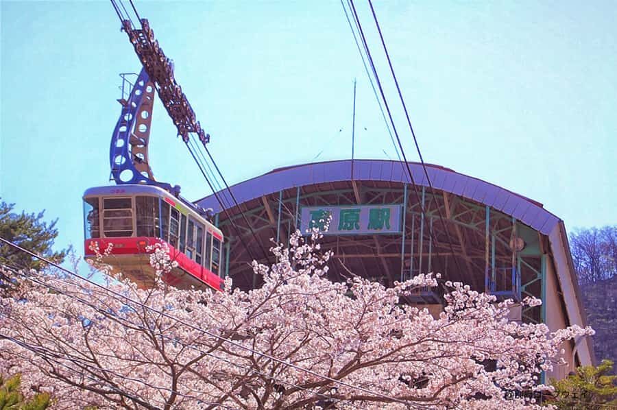 FukuokaDazaifu,Yufuin Village,Beppu Ropeway,Kamado Jigoku - Final Thoughts: Is This Tour Worth It?