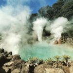 Fukuoka:Frog Temple, Beppu Hell Springs Tickets Incl &Yufuin - Exploring the Itinerary in Detail