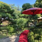 Fukushima: Samurai Ethics and Daily Life in Aizu - Practical Details: What to Expect & How to Prepare