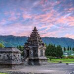 Full-Day Adventure: Green Tea Garden & the Mystical Dieng Plateau - What’s Included & What’s Not