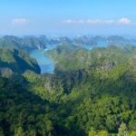 Full-Day Adventure: Trekking and Hiking in Cat Ba National Park - What’s Included and What to Consider