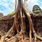 Full Day Angkor Temples Tour with Sunset - The Practical Side: What You’ll Love