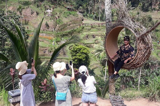Full-Day Bali Island Tour Including Mt Batur And Sacred Monkey Forest Sanctuary - Whats Included & Whats Not