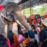 Full Day : Bangkok-Ayutthaya UNESCO World Heritage Site - The Practicalities: What Makes This Tour Stand Out