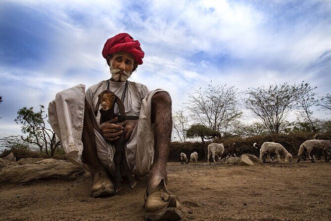 Full-Day Bishnoi Village Safari - Detailed Breakdown of the Itinerary