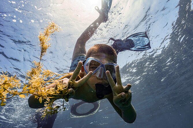 Full-Day Cham Islands Tour with Snorkeling & Beach Relaxation - The Sum Up