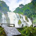 Full Day Doi Inthanon and Pha Dok Siew Trek from Chiang Mai - Final Thoughts