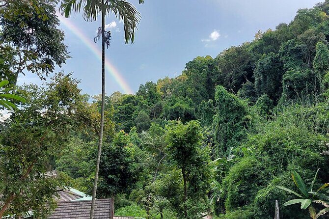 Full-Day Doi Suthep, Wat Pha Lad & Sticky Waterfall Guided Tour - The Excitement of the Sticky Waterfall Climb