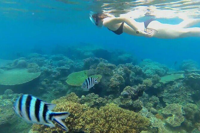 Full Day East Bali Tour - Analyzing the Value for Money