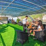 Full Day Ha Long Bay Trip with Premium Cruise - Authenticity and Unique Touches