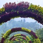 Full Day Historical Tour in Cebu City Highlands - An In-Depth Look at the Cebu City Highlands Tour