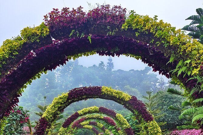 Full Day Historical Tour in Cebu City Highlands - An In-Depth Look at the Cebu City Highlands Tour