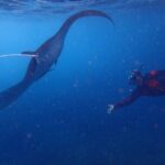 Full-Day Island-Hopping Tour from Bali - Practical Tips for Travelers