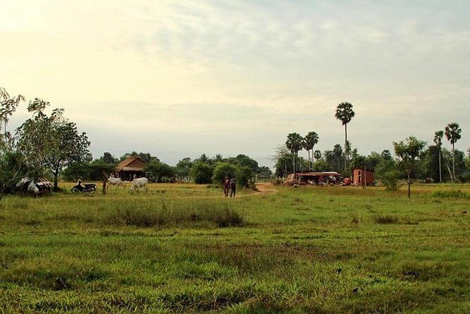 Full-Day Kampot & Kep with a local Tuk Tuk Tours - Who Should Consider This Tour?