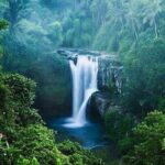 Full-Day : Kintamani Volcano - Jungle Swing - Rice Terrace - Waterfall - Temple - FAQs