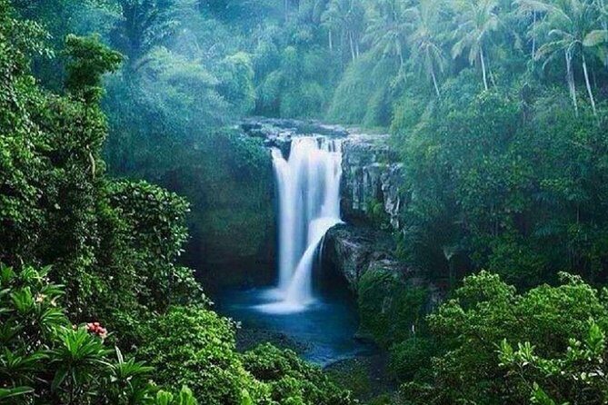 Full-Day : Kintamani Volcano - Jungle Swing - Rice Terrace - Waterfall - Temple - FAQs