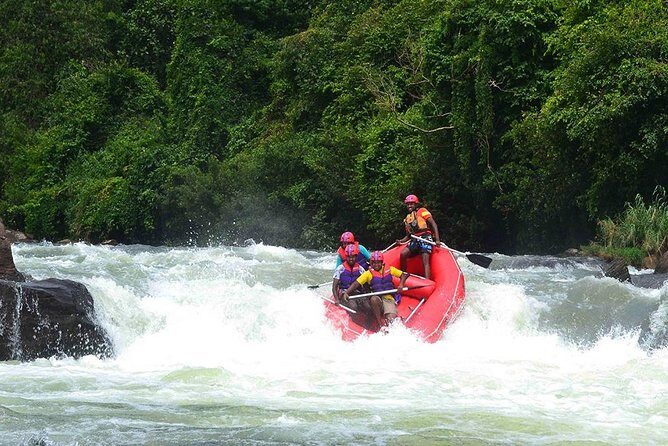 Full-Day Kitulgala White Water Rafting Tour from Colombo - In-Depth Look at the Experience