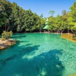 Full Day Krabi Jungle Tour With Elephant Trekking Transfers - Exploring the Itinerary in Detail