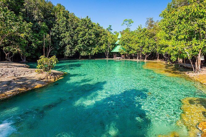 Full Day Krabi Jungle Tour With Elephant Trekking Transfers - Exploring the Itinerary in Detail