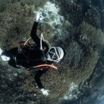 Full-Day Open Trip Diving in Komodo for Certified Divers - Why This Tour Offers Great Value