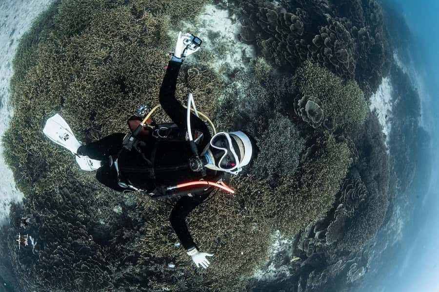 Full-Day Open Trip Diving in Komodo for Certified Divers - Why This Tour Offers Great Value